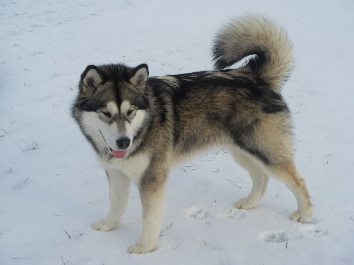 scout 12-2010 13.jpg